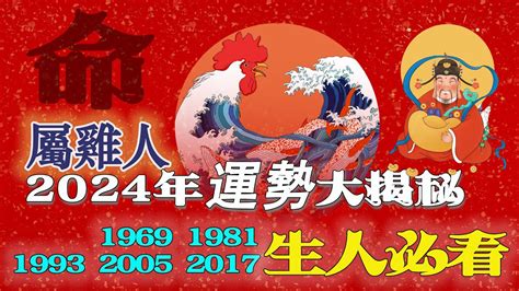 1981屬雞2024運勢|【1981屬雞】一窺1981屬雞命運：五行、大運、2024年全運勢解。